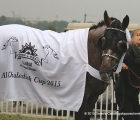 Lares de Pine con la coperta del vincitore dell' Al Khalediah Cup