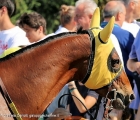 Primo piano di Musa D'Oriente al tondino del XXXIX Royal Mares 