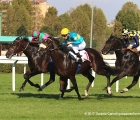 Amore Hass con in sella Cristian Demuro si avvia alla vittoria del GP Di Capua, davanti a Greg Pass