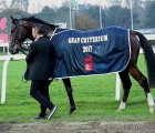 Royal Youmzain con la coperta del vincitore del Gran Criterium G2