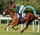 Voice Of Love vince il GP Ambrosiano (G3)