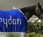 Once More Dubai Handicap 1st Meydan 05 03 10