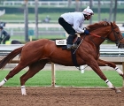 Giant Expectations works Jan. 19 at Santa Anita Park