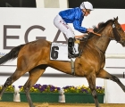 GoldTown 1st UAE 2000 Guineas Trial Meydan 25 01 18