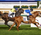 Meydan Racecourse on Saturday, 20th 1200m turf hp the Al Naboodah Electrical won impressively by Ejaab