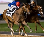 Winter-Lightning 1st 1000 Guineas Trial Meydan 18-01-18