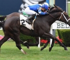 Lido third in the G3 Beaugay Stakes at Belmont Park, USA, on Saturday, 12 May