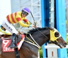 korea-triple-crown-divide-wind-winner-2018