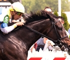 ickymasho-front-running-winner-of-searching-stakes-18-05-2019-pimlico-racecourse