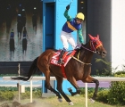 last-year-special-stone-won-the-korean-oaks-for-seoul-pic-kra