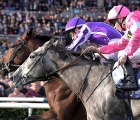 phoenix-of-spain-pink-won-the-irish-2000-guineas-2019