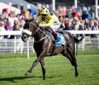 repartee-ire-c-2-by-invincible-spirit-ire-winner-at-york-16-05-2019