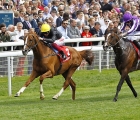 stradivarius-turns-back-southern-france-in-the-yorkshire-cup-18-05-2019