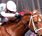 wild-about-star-shines-in-the-very-one-victory-18-05-2019-pimlico-racecourse