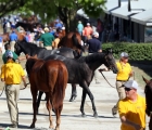 keeneland-september-2019-scenic-ksscenics9-19kld376_keesep19_credit_keeneland_web