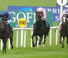 pinatubo-bursts-clear-of-his-rivals-in-the-national-stakes-at-the-curragh-curragh-15-09-2019