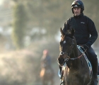 altior-nicky-henderson-superstar-is-back-to-his-home