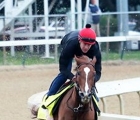 code-of-honor-works-four-furlongs-april-28-at-churchill-downs