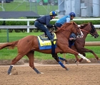 improbable-rounds-out-bafferts-kentucky-derby-works-usa