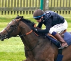 oisin-murphy-aboard-advertise-in-a-racecourse-gallop-at-newmarket