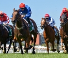 another-g1-on-offer-for-hartnell-and-alizee-in-the-memsie-stakes-g1-memsie-stakes-at-caulfield-31-08-2019