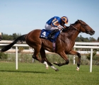 Galileo’s Mogul Takes the Champions Juvenile, Leopardstown 14 09 2019