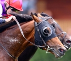 Prix Du Moulin De Longchamp, Circus Maximus conserve le succès face à Romanised  08-09-2019