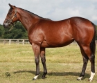 tdn-myboycharlie-osarus-top-lot