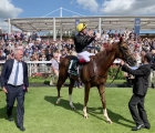 tdn-stradivarius-and-bjorn-nielsen-york-2019