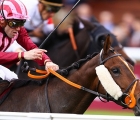 made-to-lead-prend-une-belle-revanche-05-10-2019-longchamp