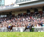 Alpha Centauri wins Prix Le Marois G1 - 2018