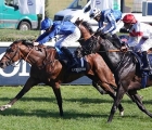 Best Solution 1st G1 Grosser Preis Von Berlin Hoppegarten12 08 18