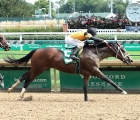 arabian-prince-usa-lecomte-stakes-14-01-2021