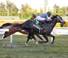 colonel-liam-edges-largent-in-pegasus-world-cup-turf-usa-23-01-2021