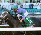 colonel-liam_-23-01-2021-gulfstream-park_0