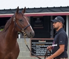 half-brother-to-justify-debuts-at-gulfstream-park-23-01-2021-usa