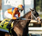 hembree-captures-the-joe-hernandez-stakes-at-santa-anita-park-02-01-2021-usa