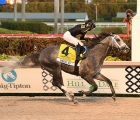 knicks-go-wins-the-pegasus-world-cup-at-gulfstream-park-23-01-2021-usa