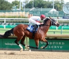 swill-the-road-to-kentucky-derby-usa-02-01-2021
