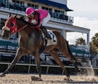 spring-and-summer-meeting-at-gulfstream-park-races-of-15-08-2020-usa