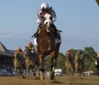 tiz-the-law-ready-for-kentucky-derby