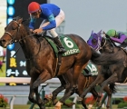 right-on-cue-second-in-g3-silk-road-stakes-jpn-31-01-2021