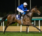 zakouski-and-dream-castle-feature-in-week-four-squad-for-dubai-world-cup-carnival-08-02-2021