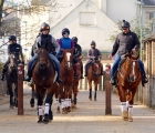 David-Lanigan-right-rides-out-with-his-string-in-newmarket-04-04-2020