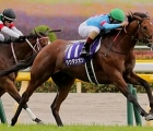 GIAPPONE TOKYO THE NHK MILE CUP-G1 HA VINTO LAUDA SION CON IN SELLA MIRCO DEMURO-10-maggio-2020