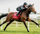 Goffs Breeze Up Sale training, may 4th 2020