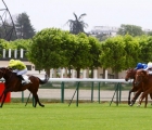 The Summit heads for the home in the Prix de Fontainebleau, Longchamp 11 05 2020