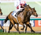 Glorious Journey Erika Rasmussen-trainer_-trifecta-winner-23-01-20-meydan