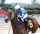 Gold-Street-wires-smarty-jones-at-muddy-oaklawn-usa