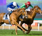 Magic Lily-cape-verdi-2020-gen-15-day-3-meydan